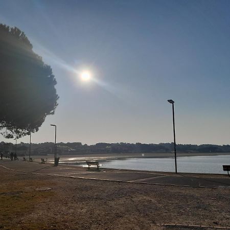 Le 322 Entre Lac Et Ocean Vieux-Boucau-les-Bains Kültér fotó