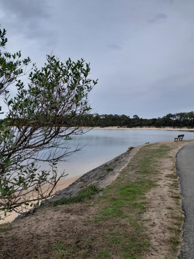 Le 322 Entre Lac Et Ocean Vieux-Boucau-les-Bains Kültér fotó
